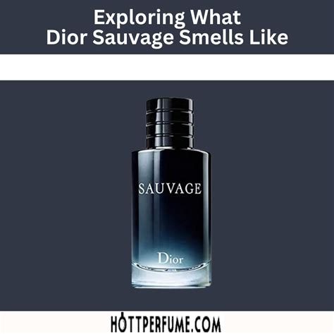 dior sauvage clone|what smells like Dior Sauvage.